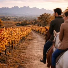 Penedés on Horseback: Vineyards, Winery & Wine!