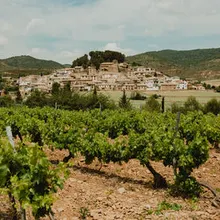 🍷 Eslava, Villa de Viñas · Visita a Santa Criz y Cata en Viñedo