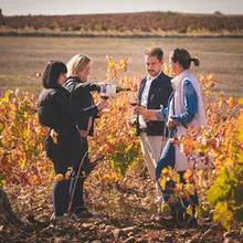Wine & Landscape