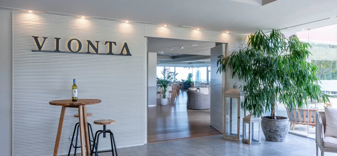 Bodegas Vionta