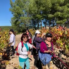 Vineyards, stunning views, and a tasting you’ll want to relive