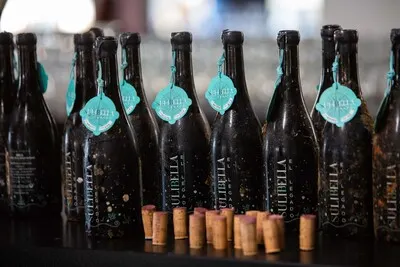 Wine Tasting on Solid Ground 