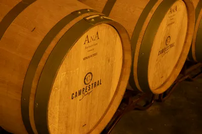 Wine Tasting with Guided Tour
