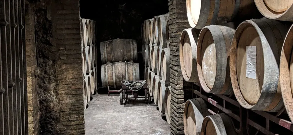 Historic Wineries: The Rich Legacy of Bodegas Osca