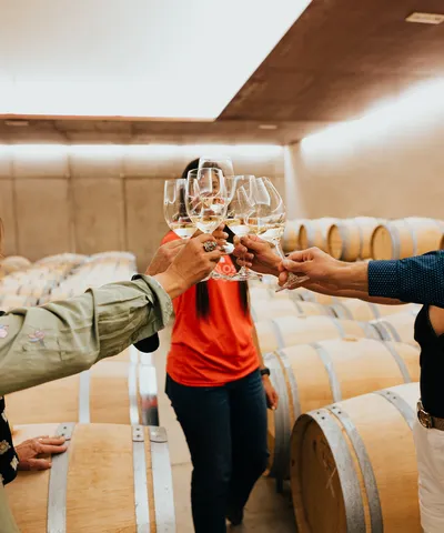 Main Wines