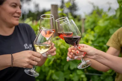 Wine tasting with tapas