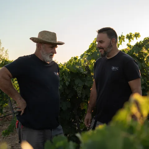 Bodega Toral