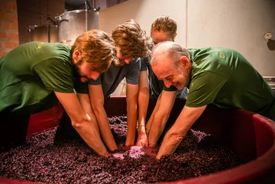 Clos Pachem: Discover the winery and taste 4 unique wines.