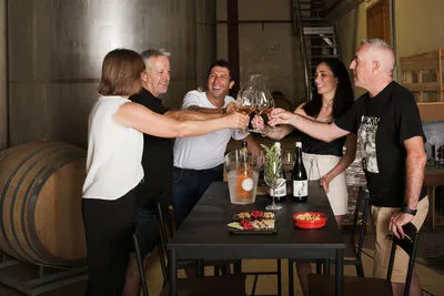 🍷 A Sensory Journey Through Mountain Garnacha