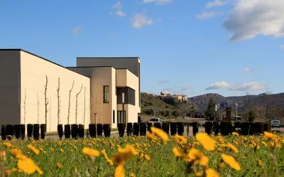 Otto Bestué Winery