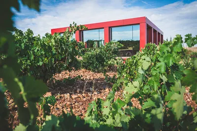 Bodegas Elías Mora