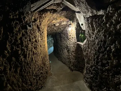 Experience Among the Cellars