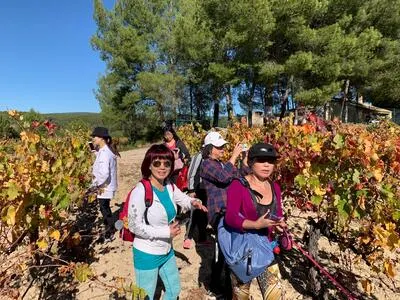 Vineyards, stunning views, and a tasting you’ll want to relive
