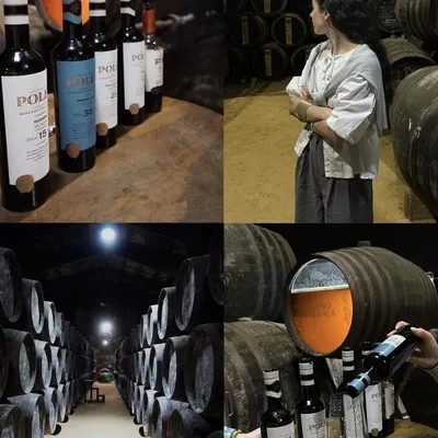 Bodega Toro Albalá