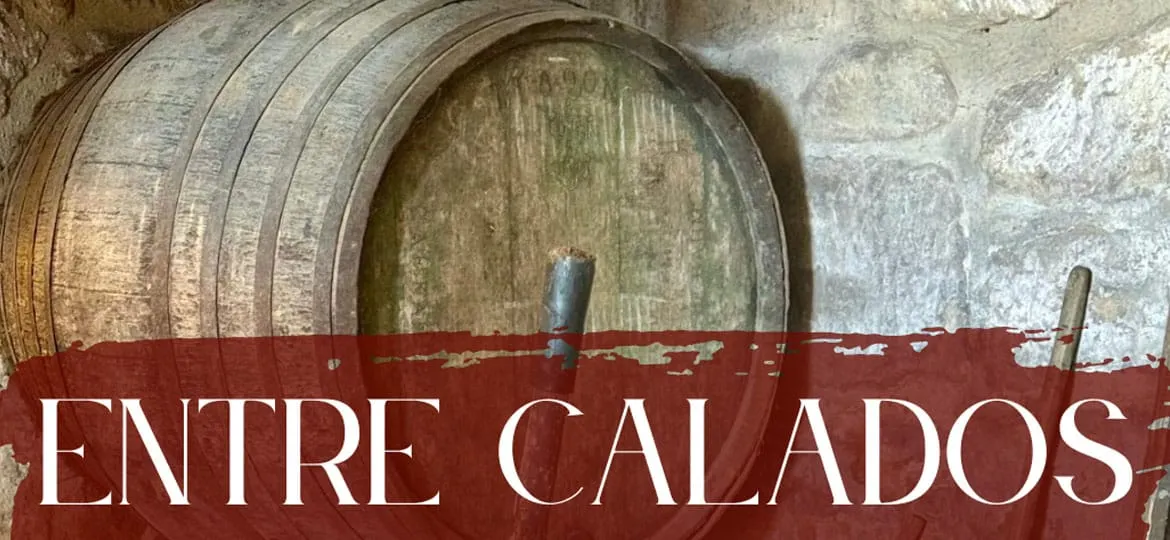 Entre Calados: the most authentic wine tasting in Rioja Alavesa