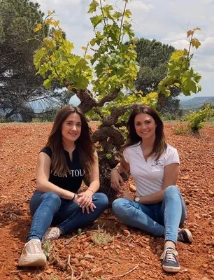 Vega Tolosa: The Wine of La Manchuela, Like You've Never Experienced Before