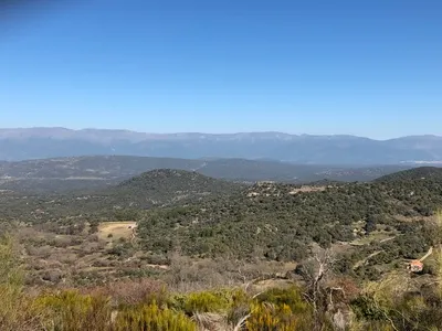 Bodegas Canopy