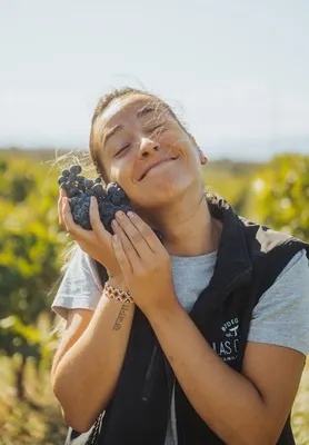 Bodega Las Orcas