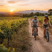 🚴‍♂️ Ruta en bici por el Penedés, bodega y ¡a catar!