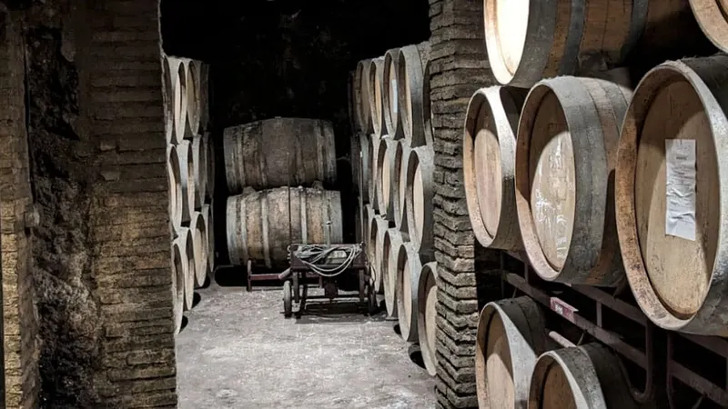 Historic Wineries: The Rich Legacy of Bodegas Osca