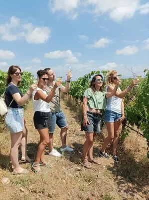 Guided tour with local food pairing (Km 0)