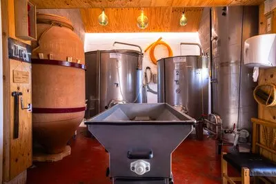 Bodega Diecinueve añadas