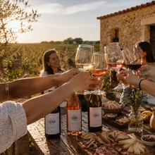 Guided Winery Tour & 4-Wine Tasting