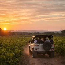 🚙 Ruta 4x4 por el viñedo y cata de vinos