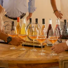 Wine Tasting with Guided Tour