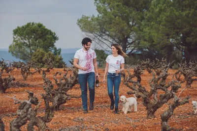 Vega Tolosa: The Wine of La Manchuela, Like You've Never Experienced Before