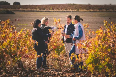 Wine & Landscape
