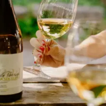 Cata de Vinos a tu Aire