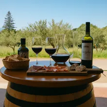 Wine Tasting with a View at Mas D’en Roy