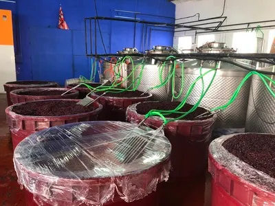 Bodegas Canopy