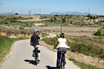 Bodega Miquel Jané
