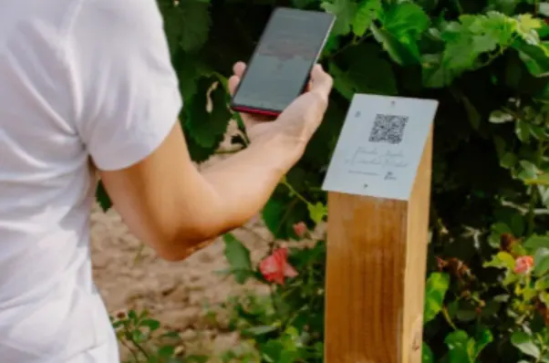 Wine Tasting Your Way