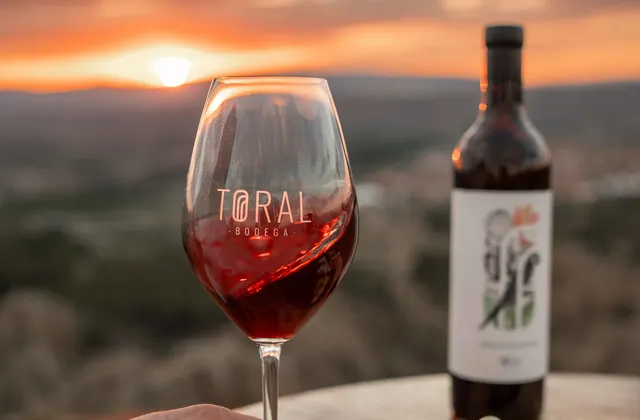 🍷 Alma · Winery Visit & Tasting