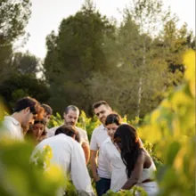 Between Vineyards and Cava: The Experience