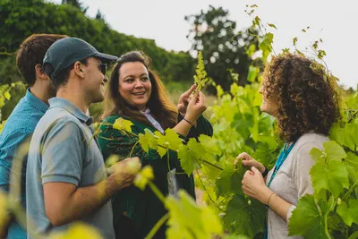 Penedès in a Glass: Wine, Winery & Pairing in 90 Minutes