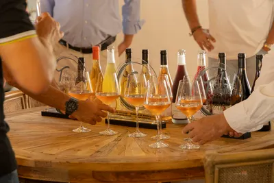 Wine Tasting with Guided Tour