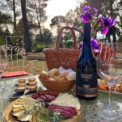 Wine and good times among the vineyards
