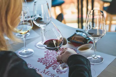 Bodegas Elías Mora