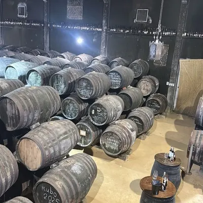 Bodega Toro Albalá