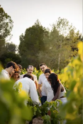 Between Vineyards and Cava: The Experience