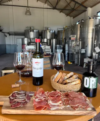 Mas D'en Roy Celler