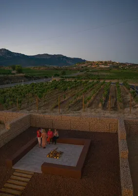  Visit and tasting of 3 wines