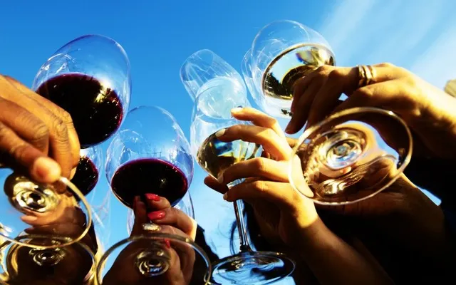 Wine & Tapas Walk through the Vineyard